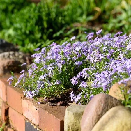 Alte Dorfschule Im Spreewald * Schwielochsee