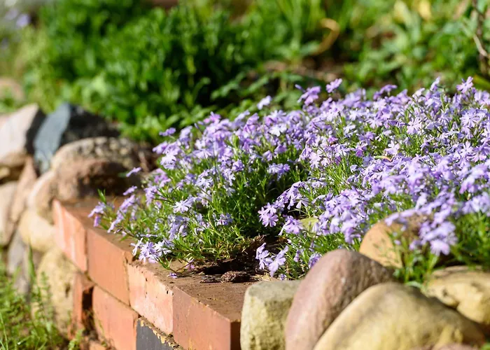 Alte Dorfschule Im Spreewald * شفيلوشسي